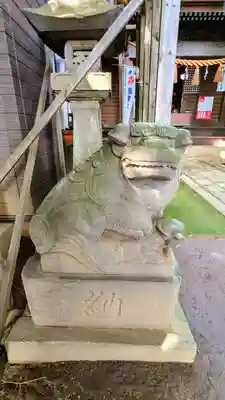 高津比咩神社の狛犬