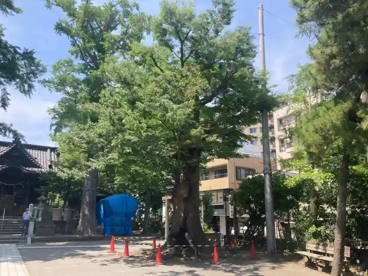 亀岡八幡宮(亀岡八幡神社)(神奈川県)