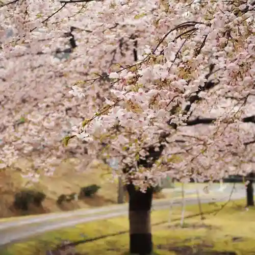天王山 安楽寺(福井県)