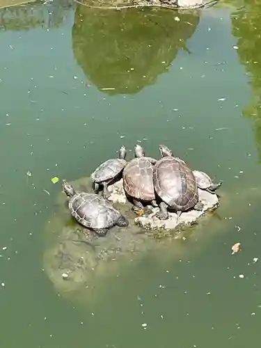 亀戸天神社(東京都)