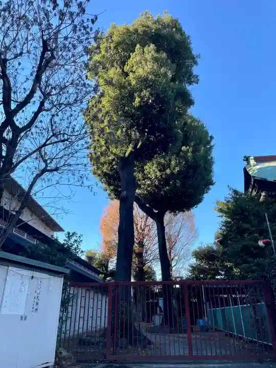 桐ヶ谷氷川神社(東京都)
