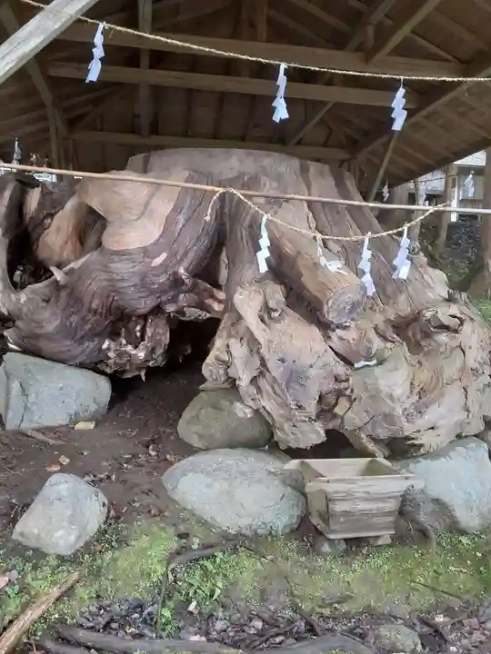 丹内山神社の自然