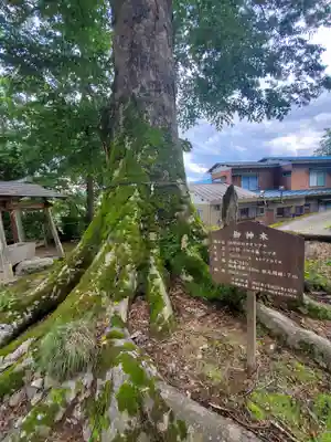 野巻椋神社の自然
