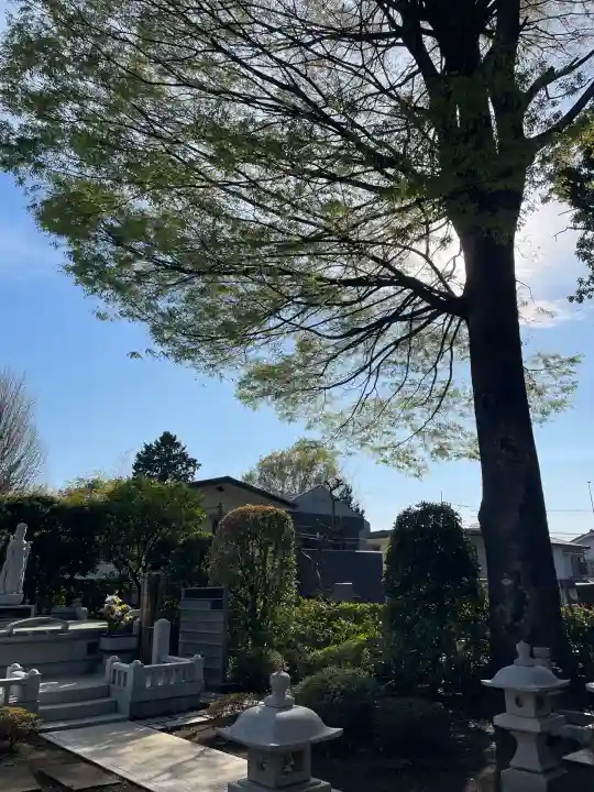 金蔵院の{uncategorized: "未分類", other: "その他", undefined: "問題あり", building: "その他建物", grave: "お墓", sacred_gate: "鳥居", guardian: "狛犬", statue: "像", buddha: "仏像", history: "歴史", nature: "自然", garden: "庭園", animal: "動物", pagoda: "塔", temizu: "手水舎", mountain_gate: "山門・神門", sanctuary: "本殿・本堂", subordinate: "末社・摂社", art: "芸術", scenery: "景色", jizo: "地蔵", ema: "絵馬", goshuin: "御朱印", omikuji: "おみくじ", items: "授与品その他", amulet: "お守り", goshuincho: "御朱印帳", eats: "食事", festival: "お祭り", votive_dance: "神楽", shichigosan: "七五三参", wedding: "結婚式", experience: "体験その他", initially: "初詣", around: "周辺", anti_infection: "感染症対策"}