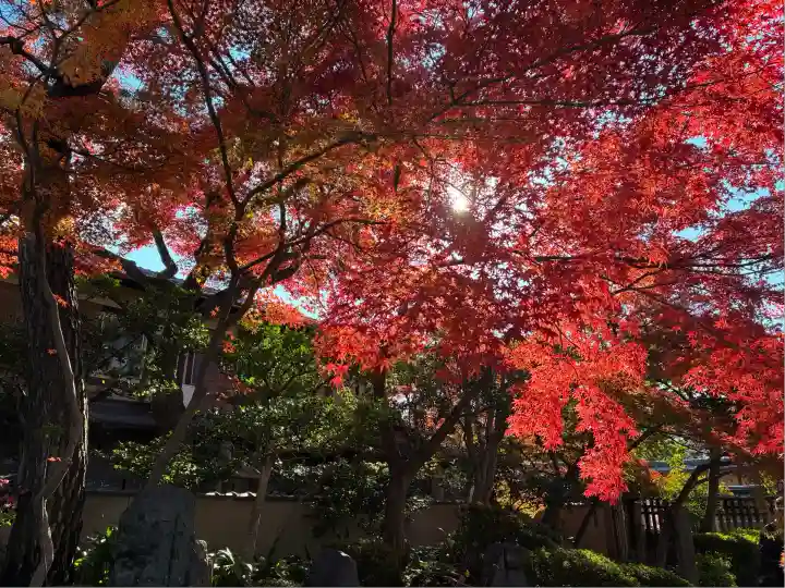 法観寺(京都府)