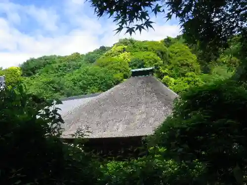 佛日庵の景色