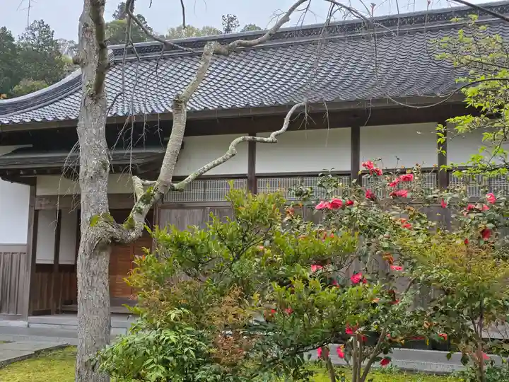 愛染院(和歌山県)