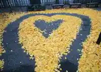 北海道神宮頓宮の芸術