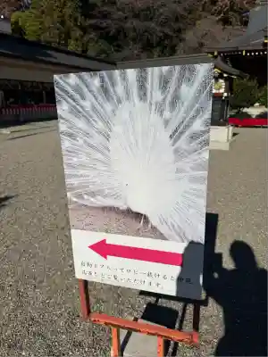 進雄神社(群馬県)