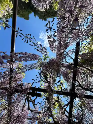 天台宗 五大山 白毫寺(兵庫県)