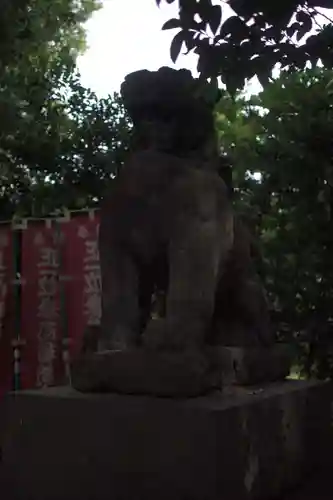 愛宕神社の狛犬