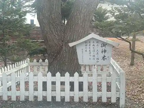 沼ノ端神社(北海道)