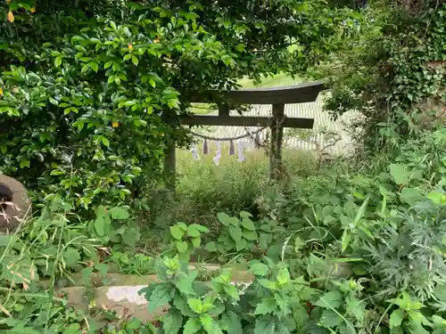 熊野神社の鳥居