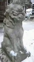 大徳寺の狛犬