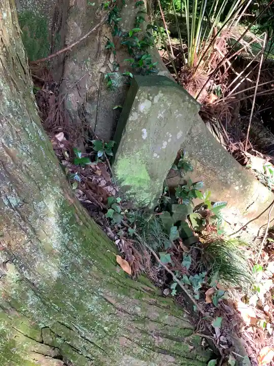 八幡大神(千葉県)