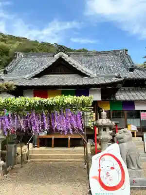 萬福寺の{uncategorized: "未分類", other: "その他", undefined: "問題あり", building: "その他建物", grave: "お墓", sacred_gate: "鳥居", guardian: "狛犬", statue: "像", buddha: "仏像", history: "歴史", nature: "自然", garden: "庭園", animal: "動物", pagoda: "塔", temizu: "手水舎", mountain_gate: "山門・神門", sanctuary: "本殿・本堂", subordinate: "末社・摂社", art: "芸術", scenery: "景色", jizo: "地蔵", ema: "絵馬", goshuin: "御朱印", omikuji: "おみくじ", items: "授与品その他", amulet: "お守り", goshuincho: "御朱印帳", eats: "食事", festival: "お祭り", votive_dance: "神楽", shichigosan: "七五三参", wedding: "結婚式", experience: "体験その他", initially: "初詣", around: "周辺", anti_infection: "感染症対策"}