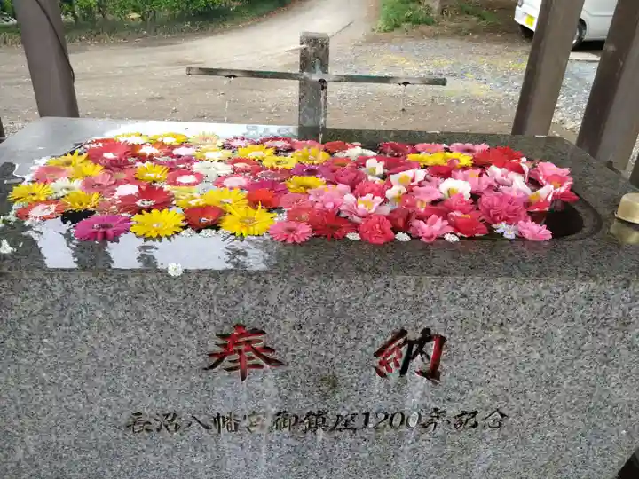 長沼八幡宮(栃木県)