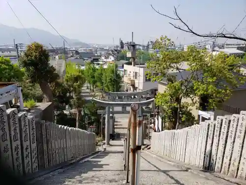 藤ノ木白山神社の建物その他