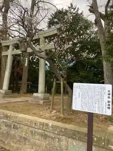 天神社の鳥居