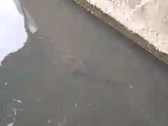 水神社の建物その他