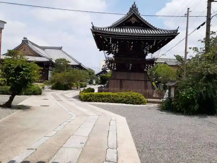 妙蓮寺(京都府)