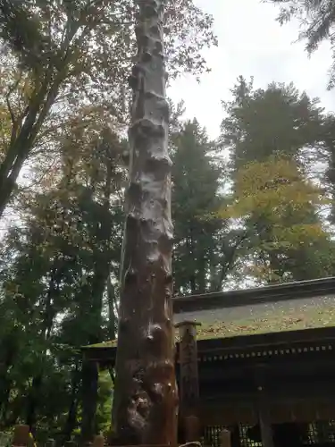 諏訪大社下社春宮(長野県)