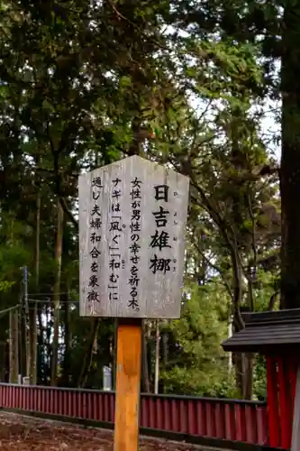 日吉大社(滋賀県)