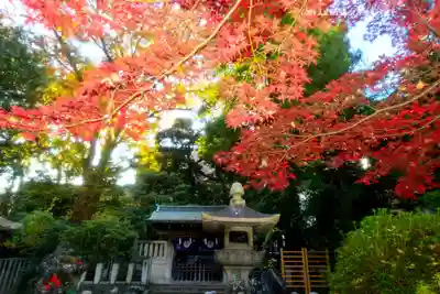 根津神社(東京都)