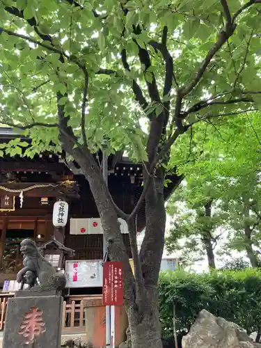 七社神社の自然