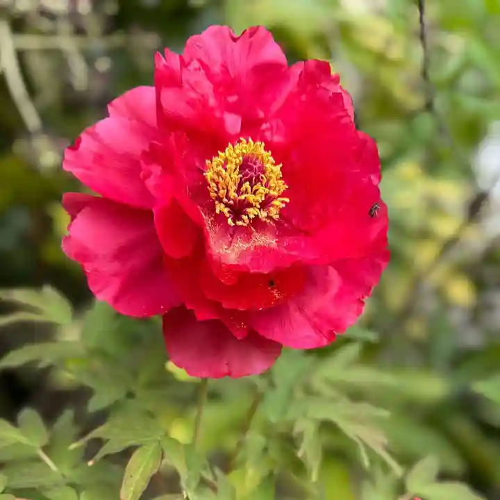伊勢の国 四天王寺(三重県)
