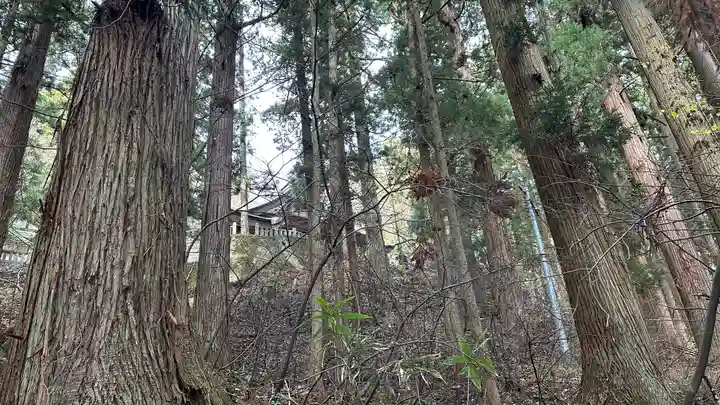 戸隠神社宝光社の自然
