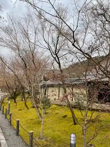 禅林寺（永観堂）の自然