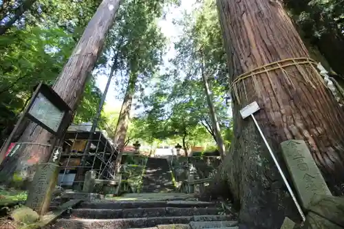 金櫻神社(山梨県)
