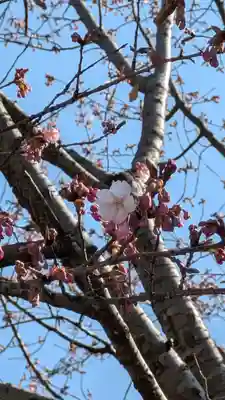 清浄華院(京都府)