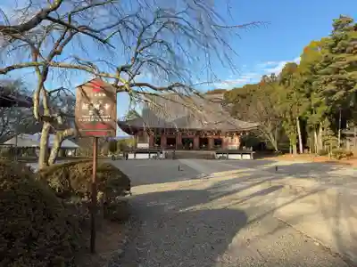 醍醐寺(京都府)
