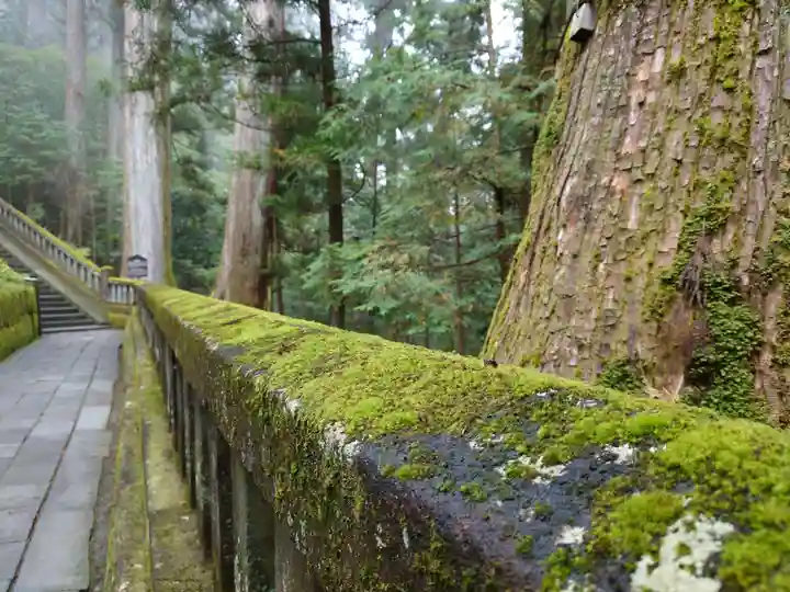 日光東照宮(栃木県)