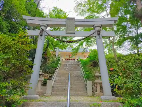 熊野社（東菱野町）の鳥居