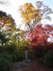 石都々古和気神社の建物その他