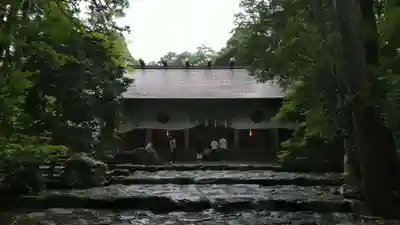 椿大神社の本殿・本堂