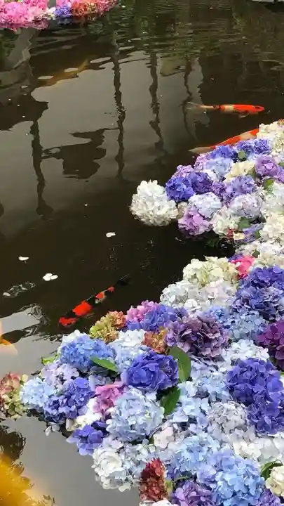 楽法寺(雨引観音)(茨城県)