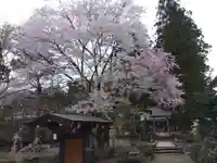 荏名神社(岐阜県)