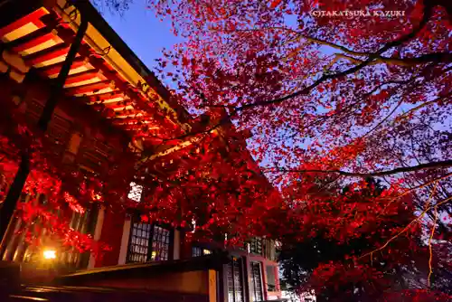 大山阿夫利神社(神奈川県)