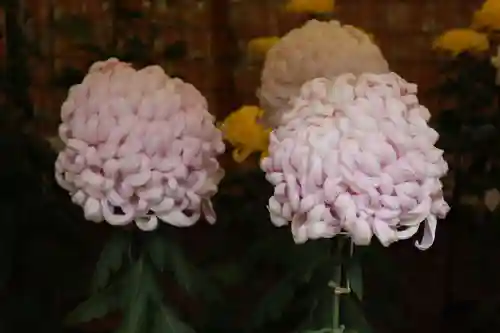 高麗神社のその他建物