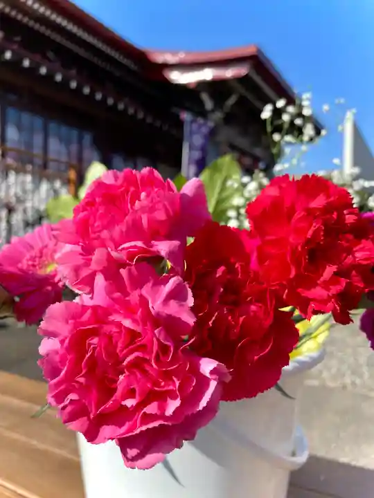 伊達神社の自然