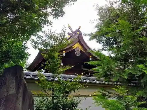 田縣神社の本殿