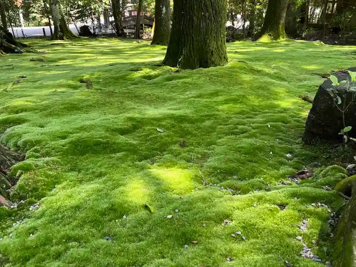 都農神社(宮崎県)