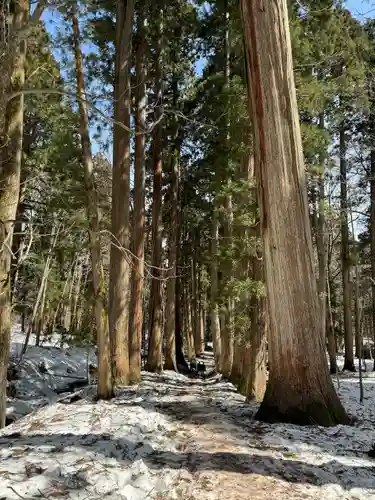 戸隠神社奥社(長野県)