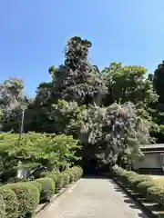 礒部神社(富山県)