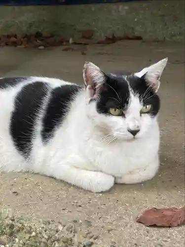 鎌数伊勢大神宮(千葉県)