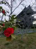 根来寺の{uncategorized: "未分類", other: "その他", undefined: "問題あり", building: "その他建物", grave: "お墓", sacred_gate: "鳥居", guardian: "狛犬", statue: "像", buddha: "仏像", history: "歴史", nature: "自然", garden: "庭園", animal: "動物", pagoda: "塔", temizu: "手水舎", mountain_gate: "山門・神門", sanctuary: "本殿・本堂", subordinate: "末社・摂社", art: "芸術", scenery: "景色", jizo: "地蔵", ema: "絵馬", goshuin: "御朱印", omikuji: "おみくじ", items: "授与品その他", amulet: "お守り", goshuincho: "御朱印帳", eats: "食事", festival: "お祭り", votive_dance: "神楽", shichigosan: "七五三参", wedding: "結婚式", experience: "体験その他", initially: "初詣", around: "周辺", anti_infection: "感染症対策"}